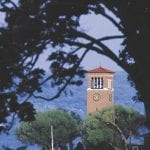 article image -